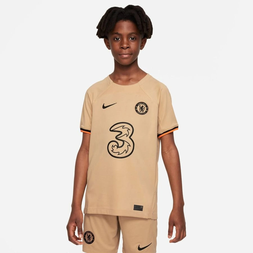 Chelsea FC 2022/23 Stadium Third Big Kids' Nike Dri-FIT Soccer Replica Jersey