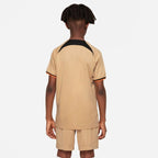 Chelsea FC 2022/23 Stadium Third Big Kids' Nike Dri-FIT Soccer Replica Jersey