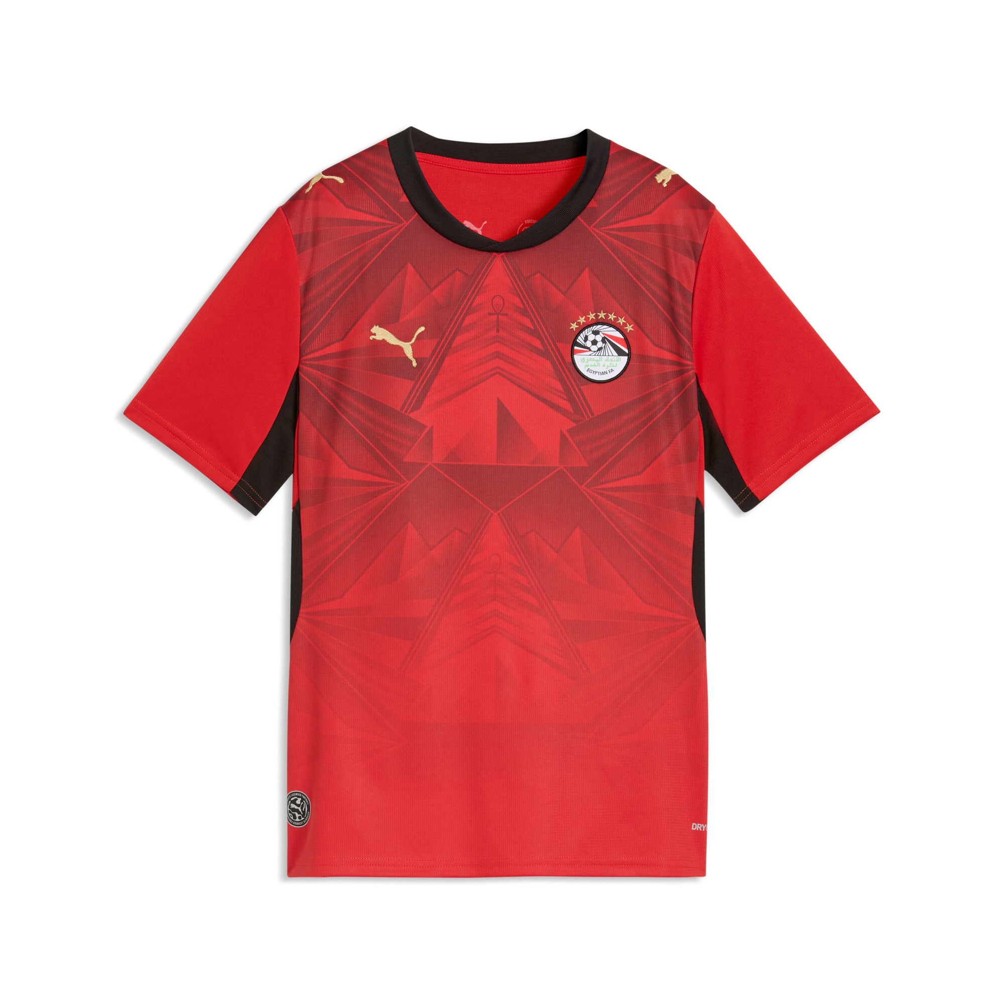 PUMA Egypt 26 Home Big Kids' Soccer Jersey