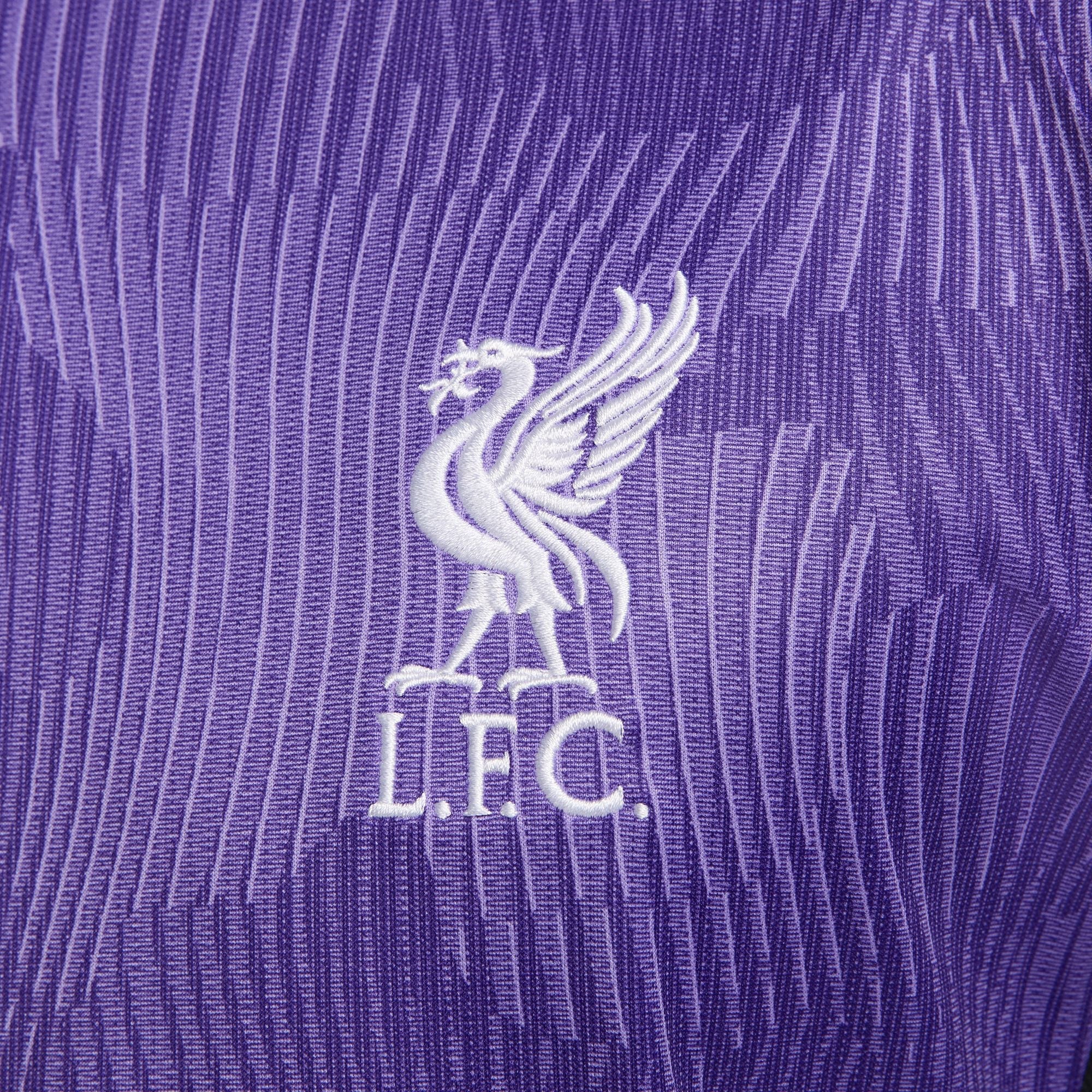 Liverpool FC 2023/4 Stadium Third Men’s Nike Soccer Replica Jersey