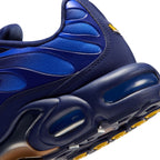 Nike Air Max Plus OG 'FFF' Men‘s shoes