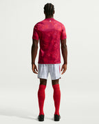 Poland 2026 Stadium Away Men's Nike Dri-FIT Soccer Replica Jersey