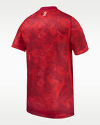 Poland 2026 Stadium Away Men's Nike Dri-FIT Soccer Replica Jersey