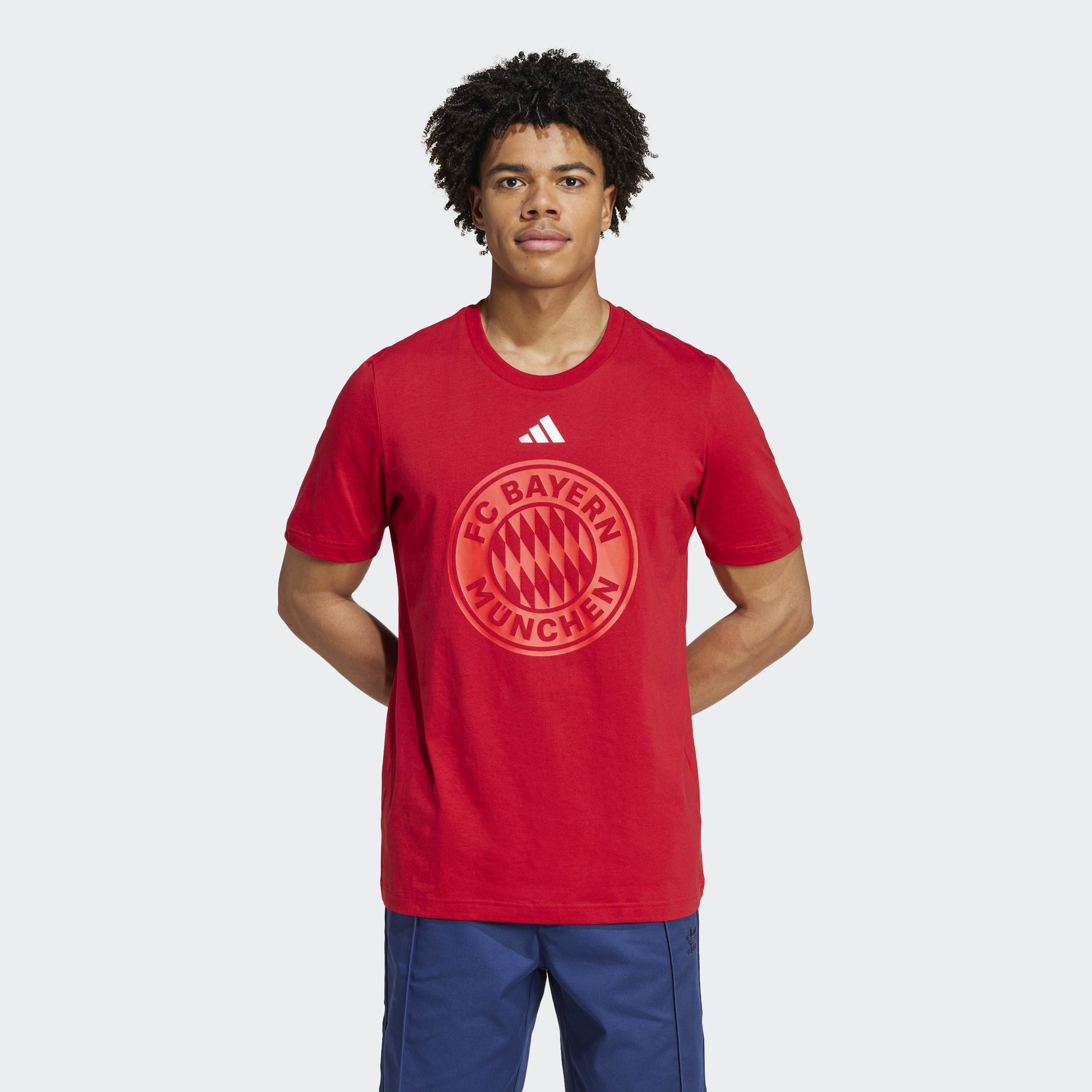 adidas FC Bayern DNA Graphic T-Shirt