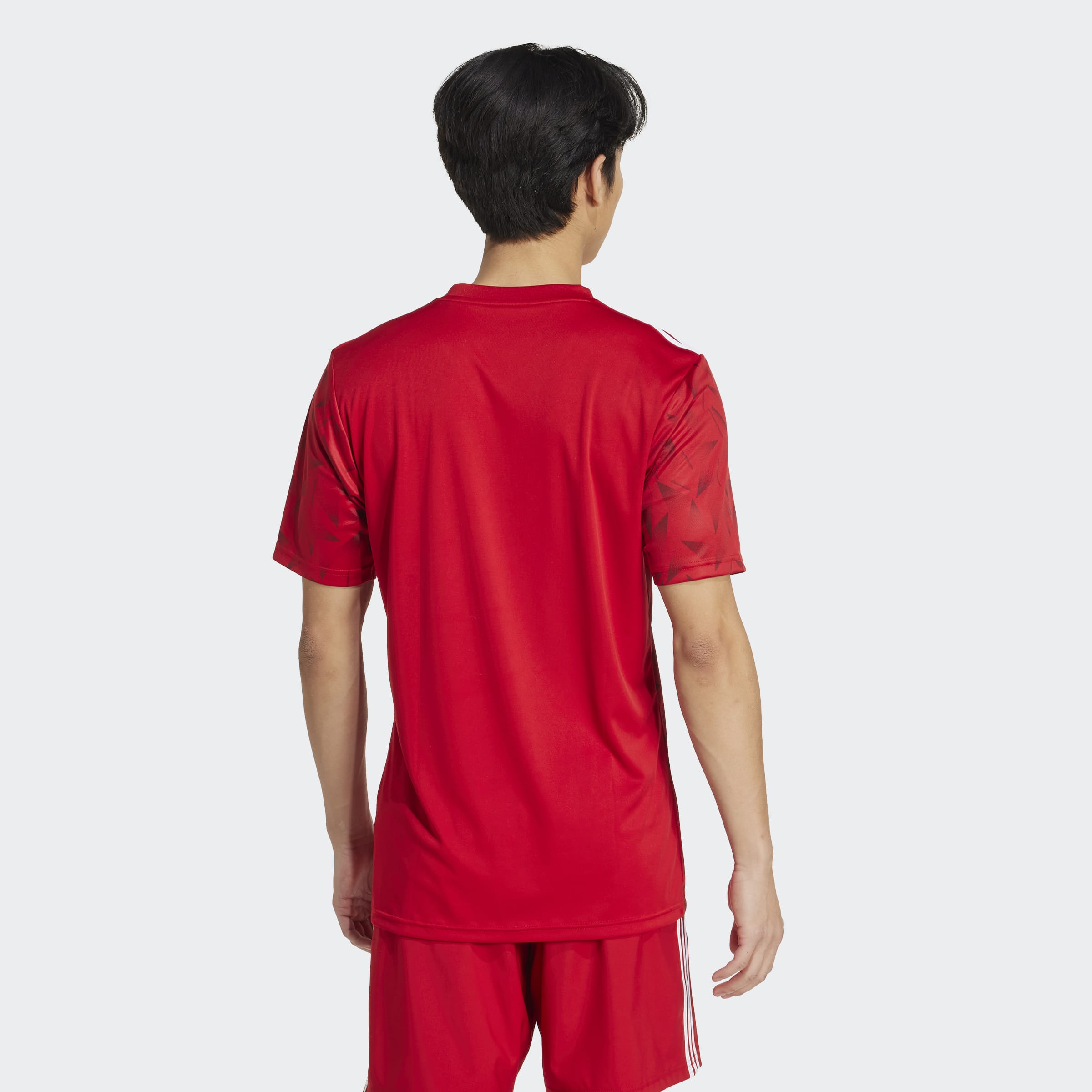 adidas Team Icon 25 Jersey