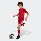 adidas Team Icon 25 Jersey Kids