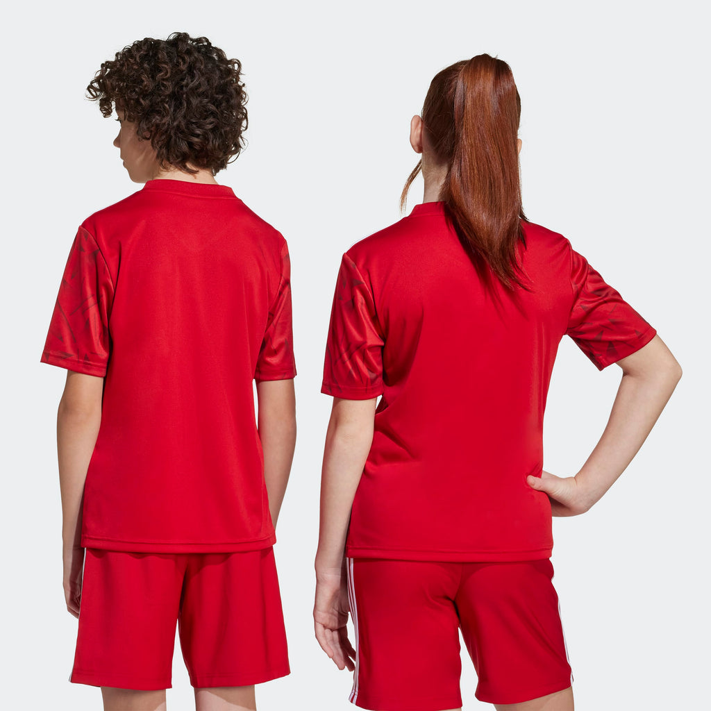 adidas Team Icon 25 Jersey Kids