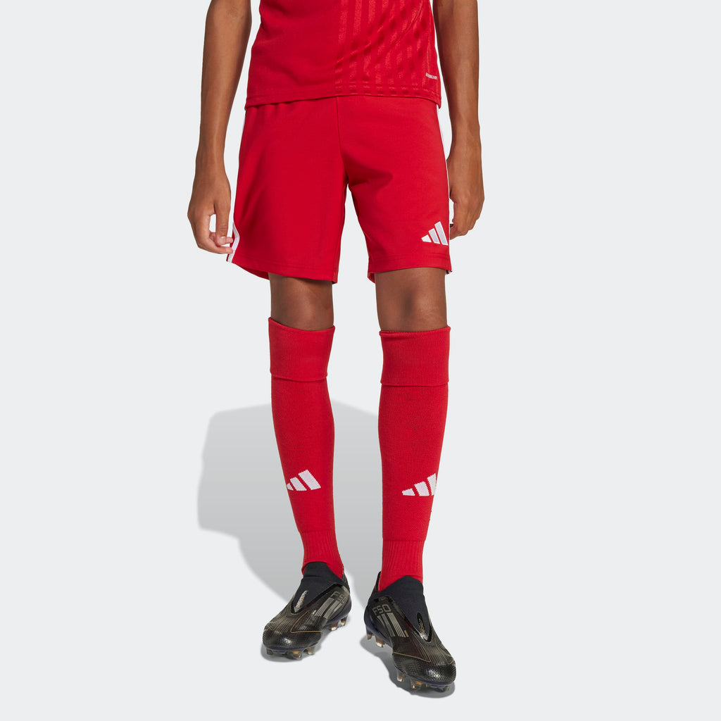 adidas Tastigo 25 Shorts Kids