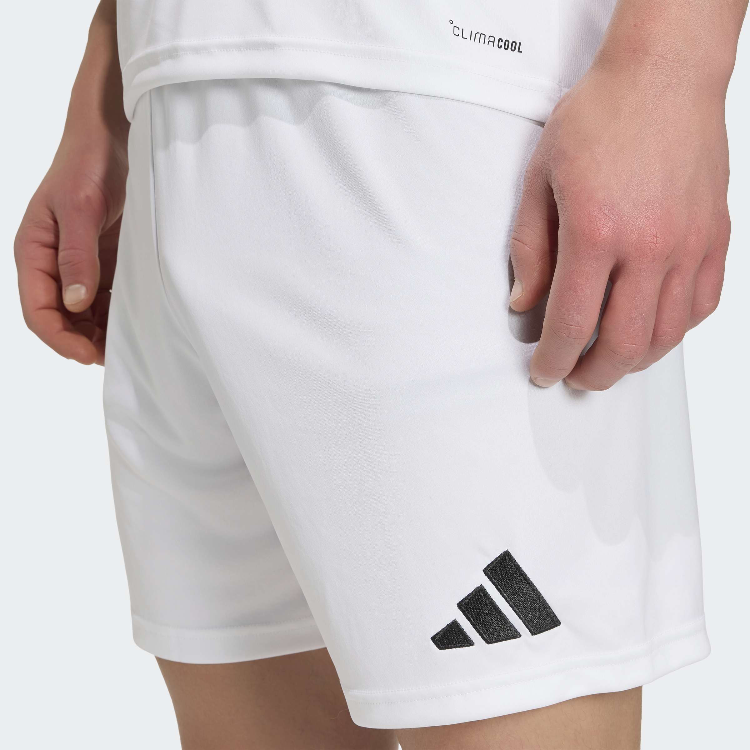 adidas Entrada26 Shorts