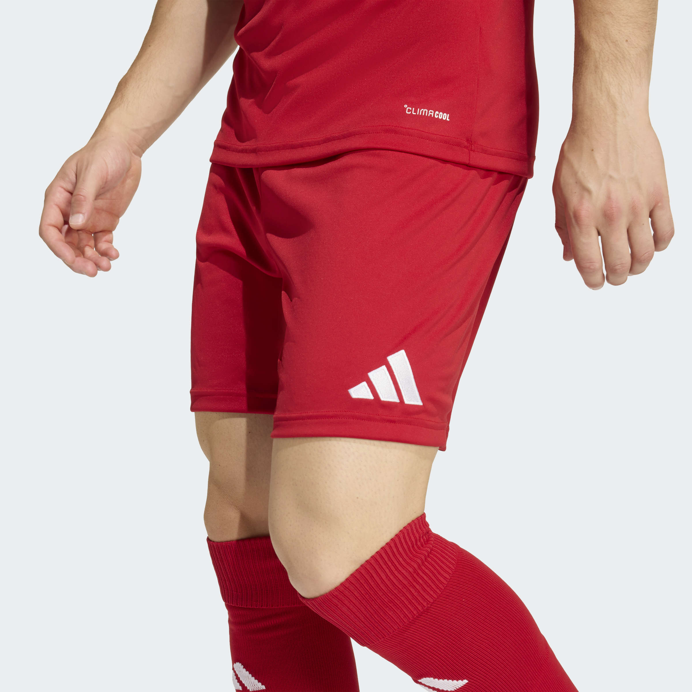 adidas Entrada26 Shorts