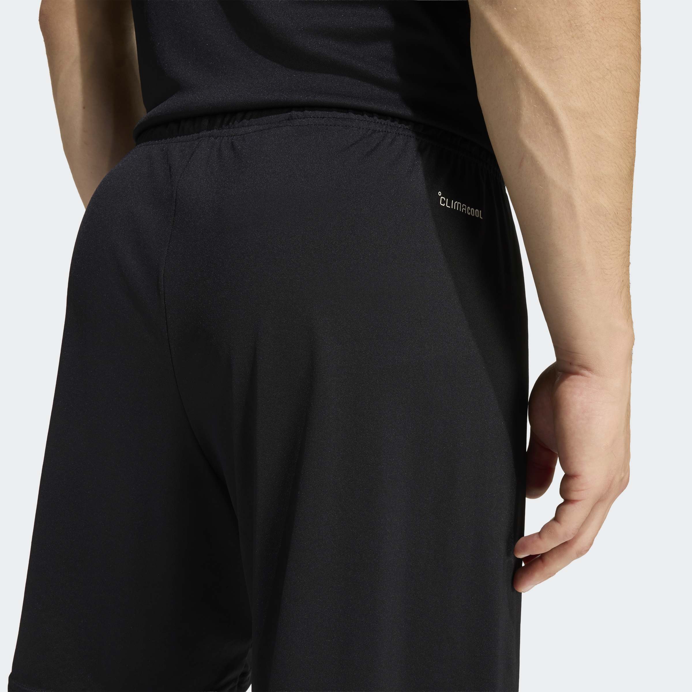 adidas Entrada26 Shorts