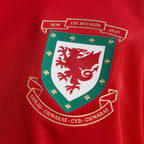 adidas Wales 150 Jersey