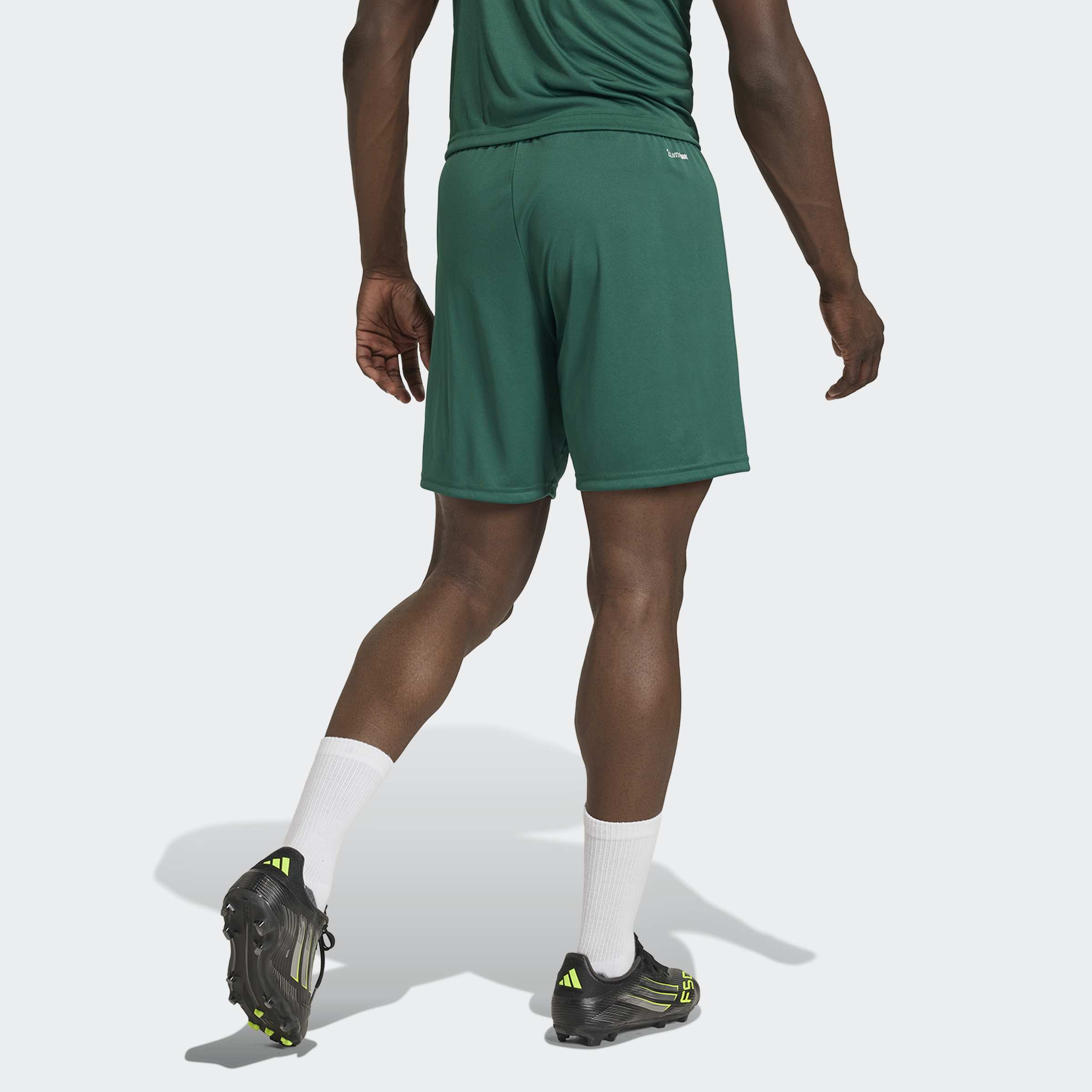 adidas Entrada26 Shorts