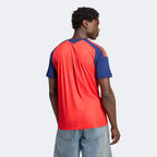 adidas Spain 26 Home Winners Jersey
