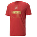 Puma - Serbia Football Core T-Shirt