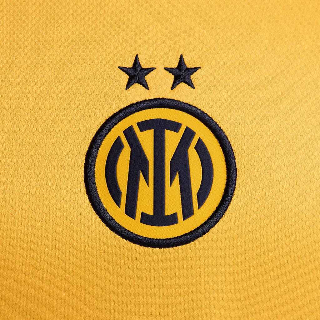Inter Milan 2024/25 Stadium Third Men's Nike Dri-FIT Replica Jersey