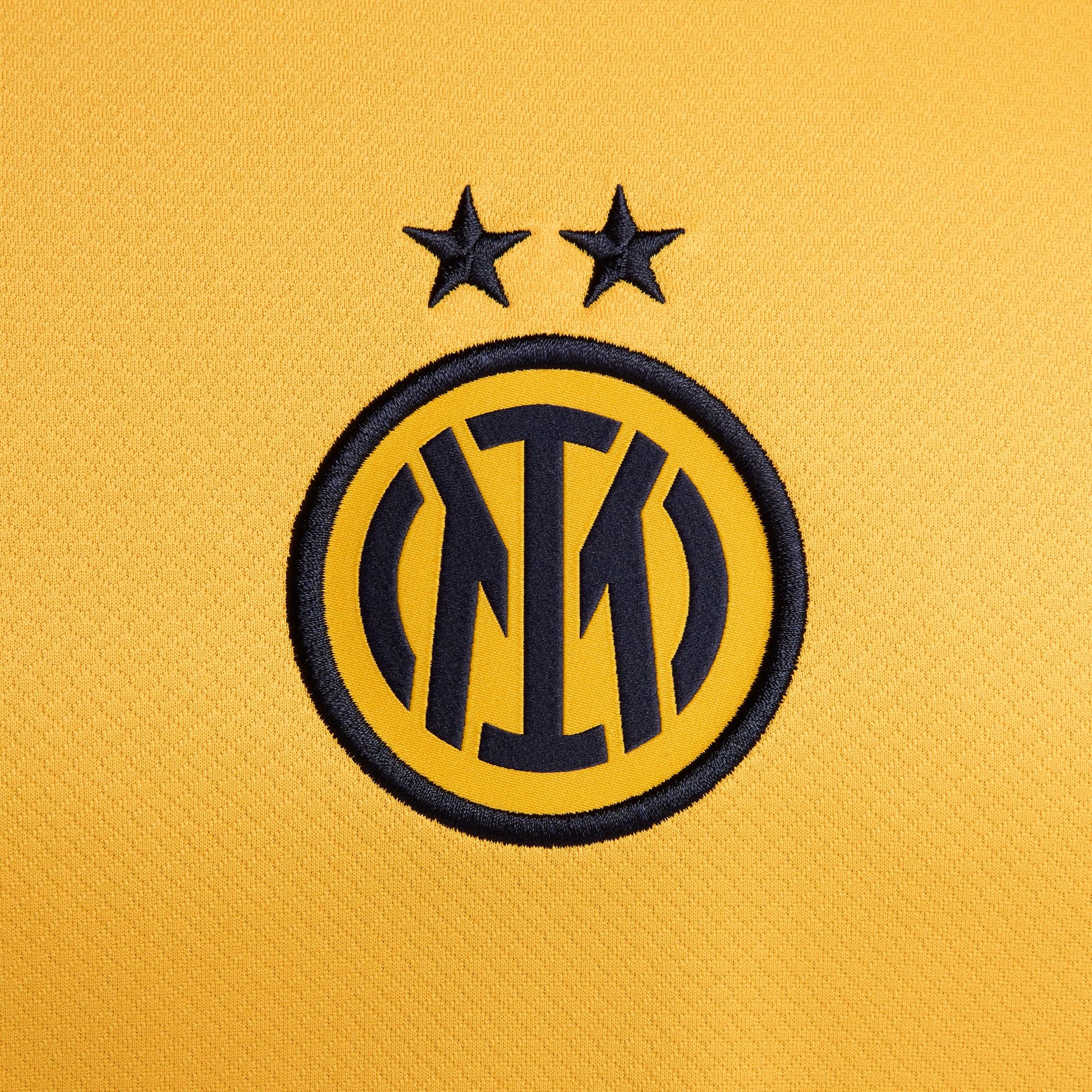 Inter Milan 2024/25 Stadium Third Men's Nike Dri-FIT Replica Jersey