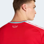 adidas Wales 26 Home Replica Jersey