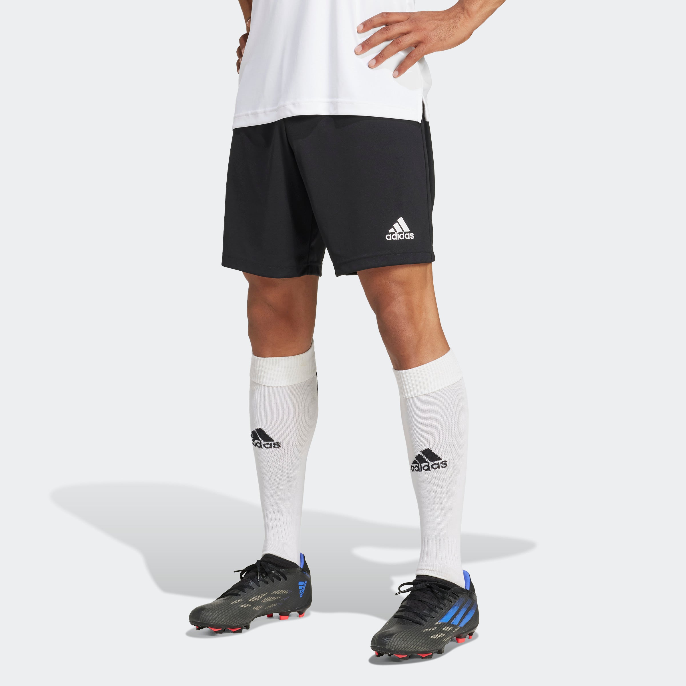 adidas Entrada 22 Shorts