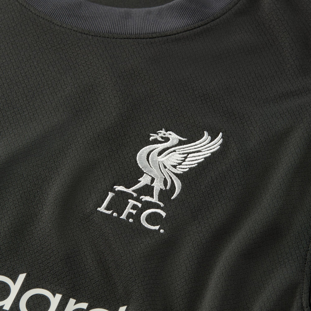 Liverpool FC 2024/25 Stadium Away Men's Nike Dri-FIT Soccer Replica Jersey