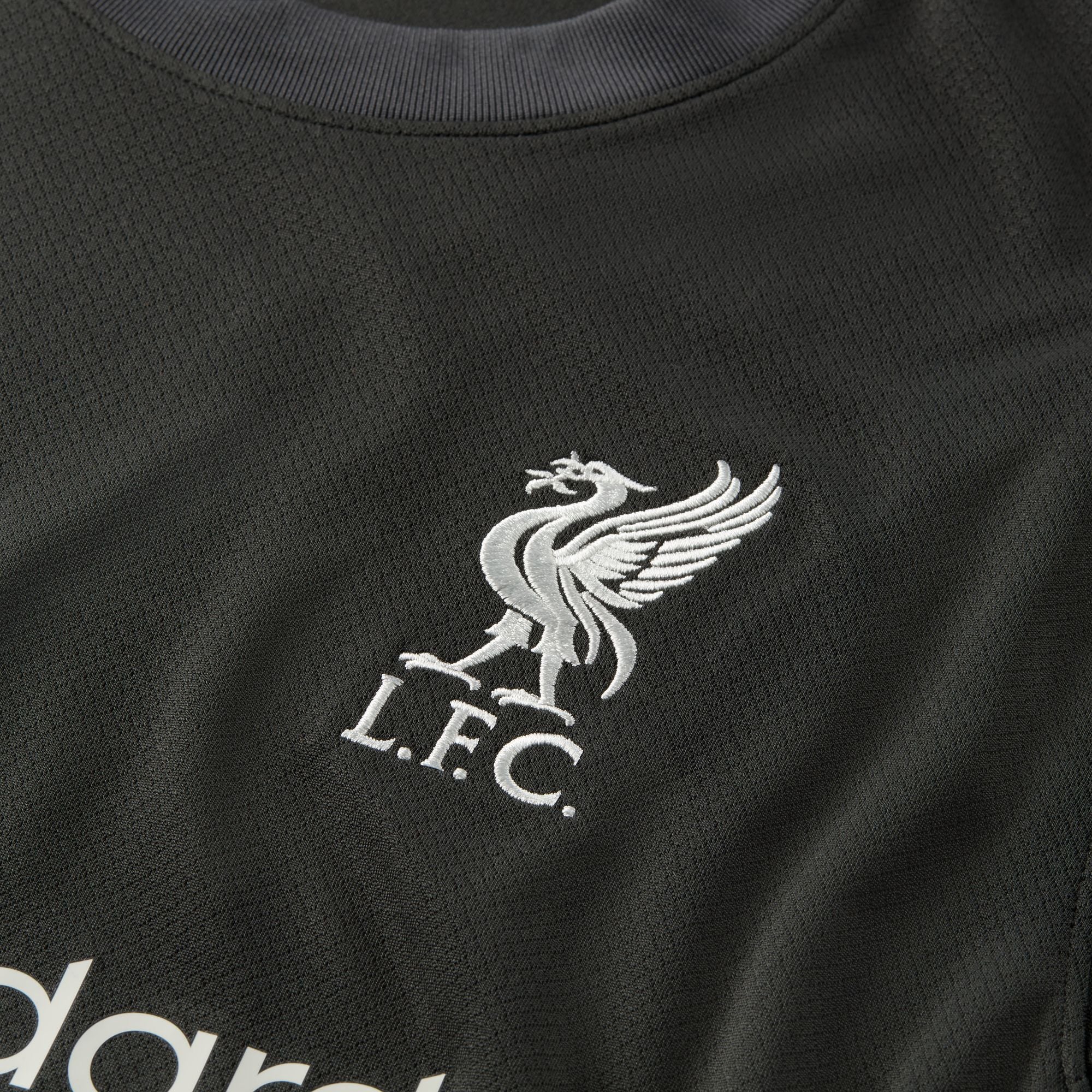 Liverpool FC 2024/25 Stadium Away Men's Nike Dri-FIT Soccer Replica Jersey