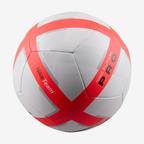 Nike Futsal Pro Ball