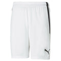 Puma - Team Liga Shorts