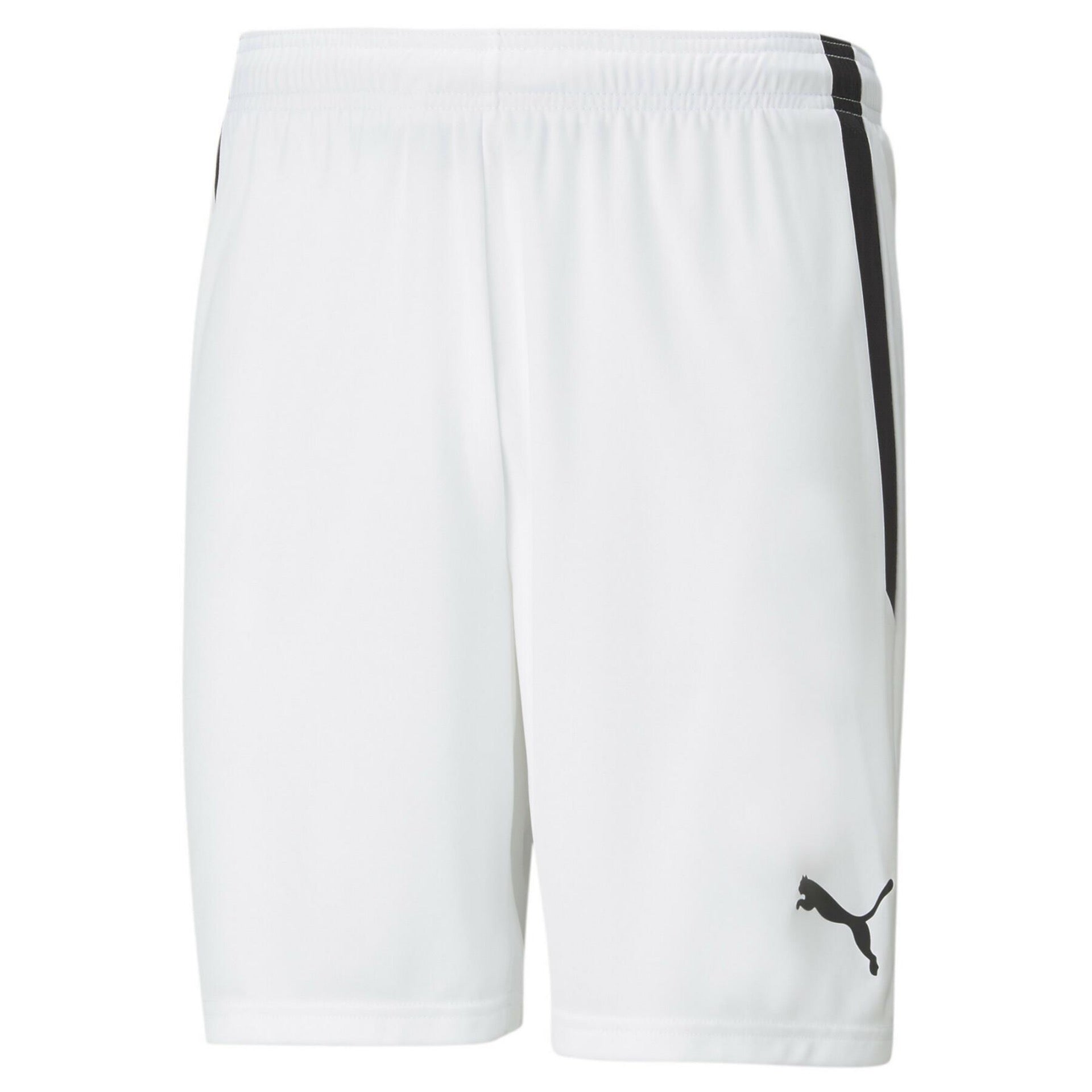 Puma - Team Liga Shorts