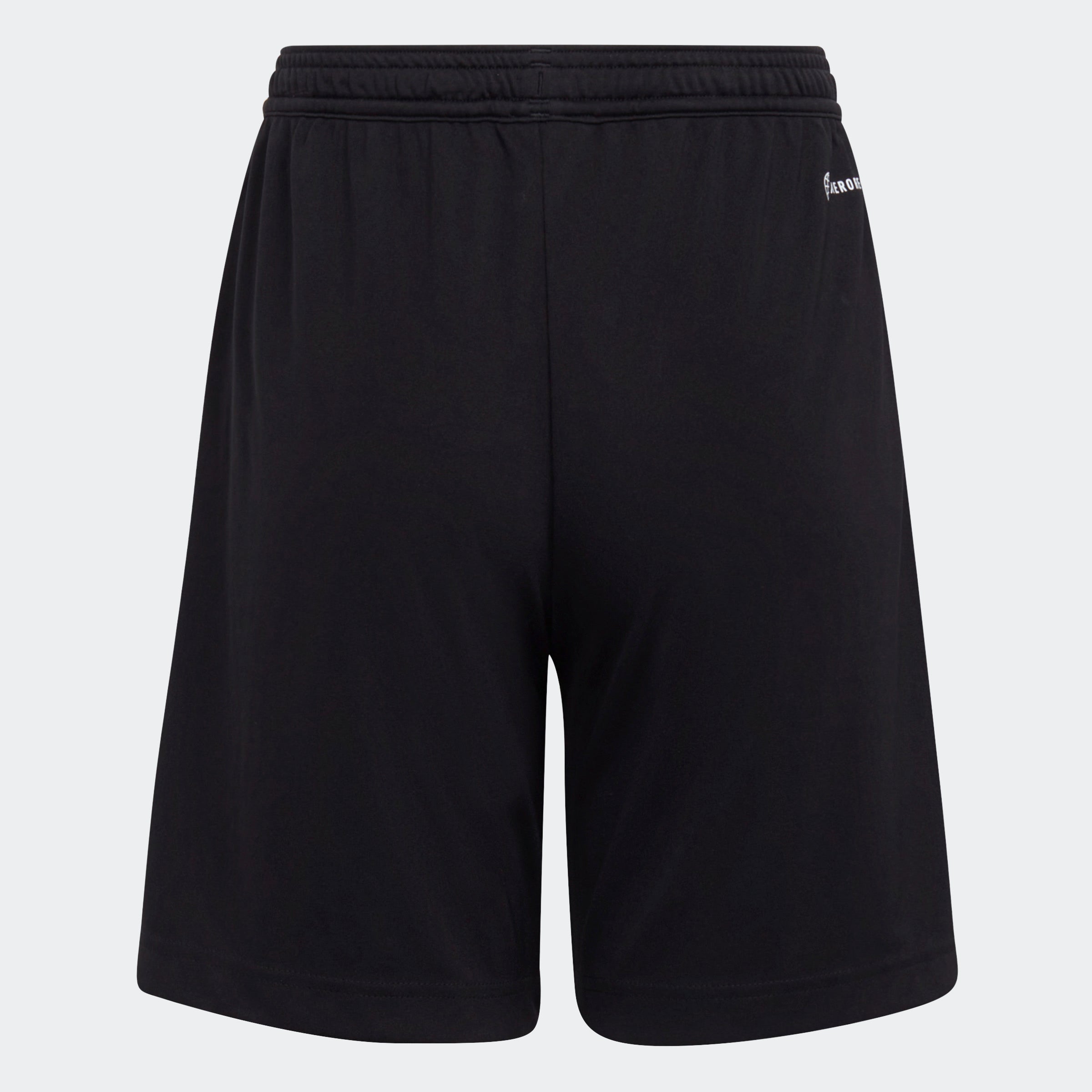 adidas Entrada 22 Shorts Kids