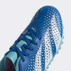 adidas Predator Accuracy.4 Turf Shoes