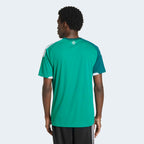 adidas Northern Ireland 26 Home Replica Jersey