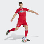 adidas Wales 26 Home Replica Jersey