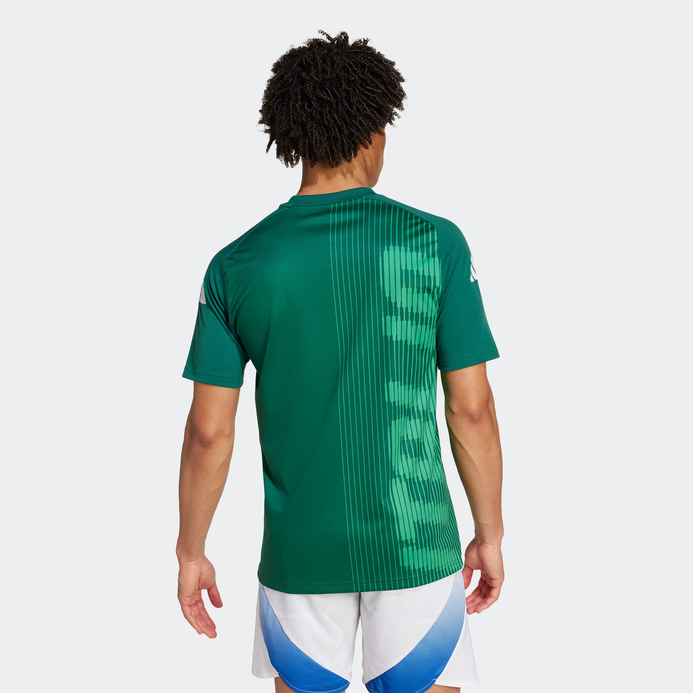 adidas Italy Pre-Match Jersey