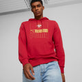 PUMA Serbia Football Core Hoodie