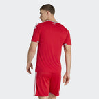 adidas Wales 26 Home Replica Jersey