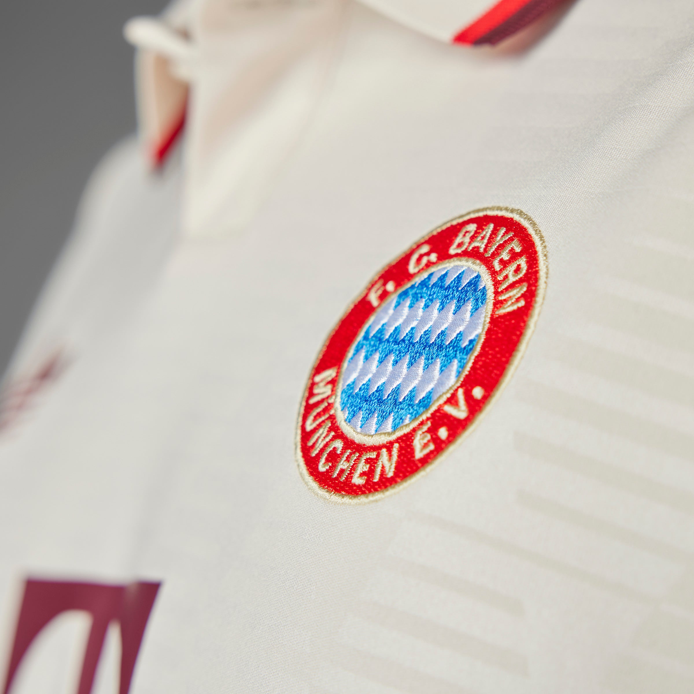 adidas FC Bayern 24/25 Third Jersey