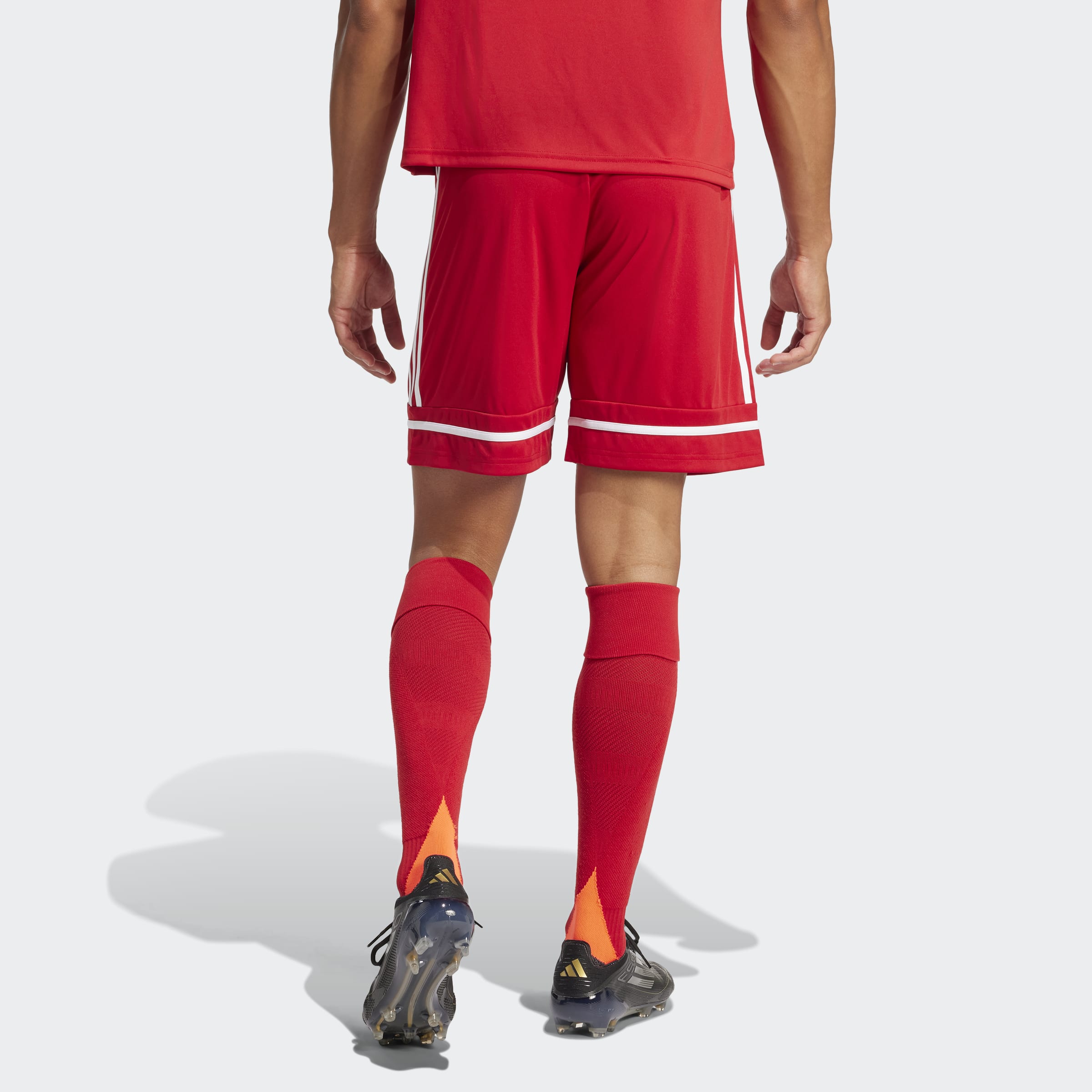 adidas Squadra 25 Shorts