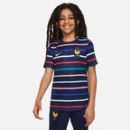 Nike - Kids France Academy Pro Home Top