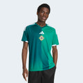 adidas Northern Ireland 26 Home Replica Jersey