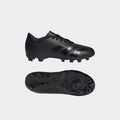 adidas Predator Accuracy.4 Firm Ground Cleats Kids