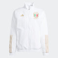 adidas Italy 125th Anniversary Jacket