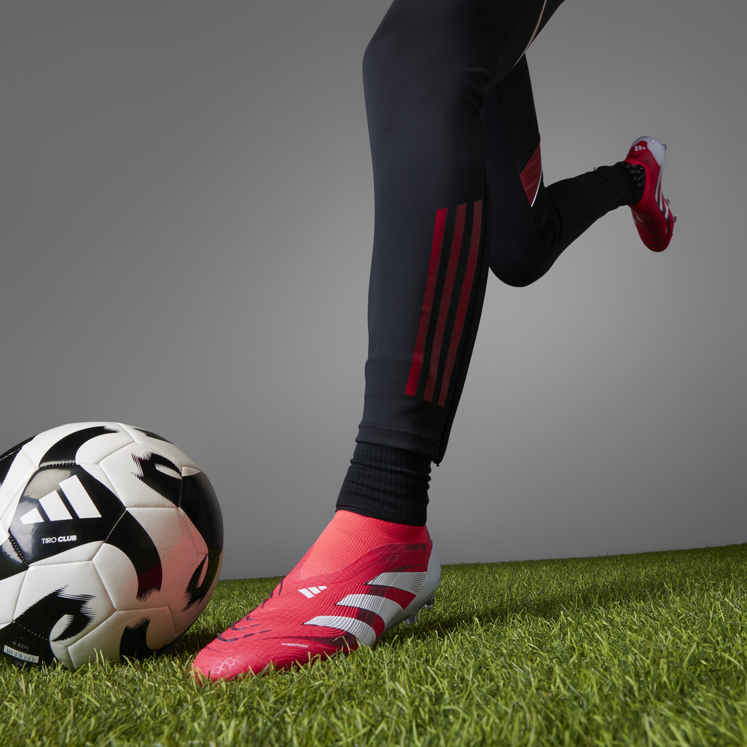 adidas Predator 25 Elite Laceless Firm Ground Cleats
