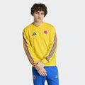 adidas Colombia DNA Crew Sweat