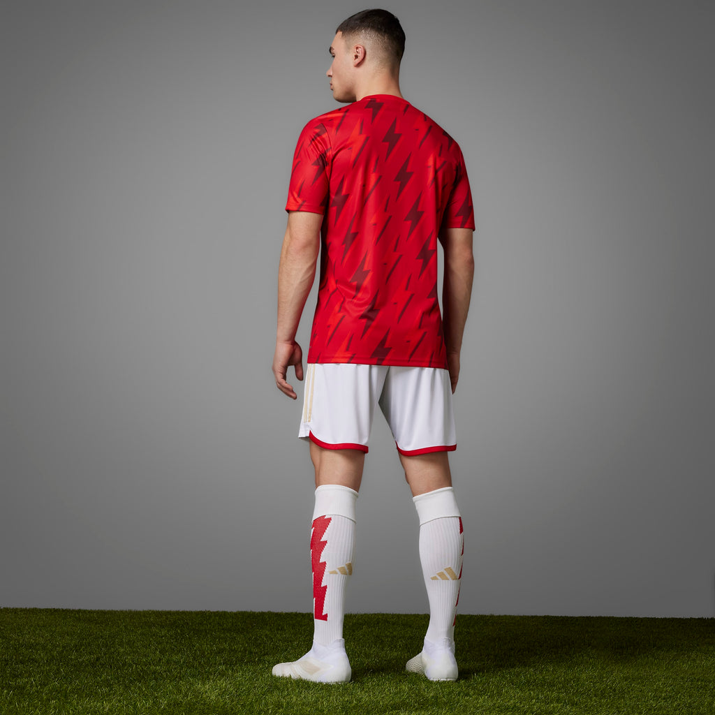 adidas Arsenal Pre-Match Jersey