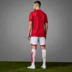 adidas Arsenal Pre-Match Jersey