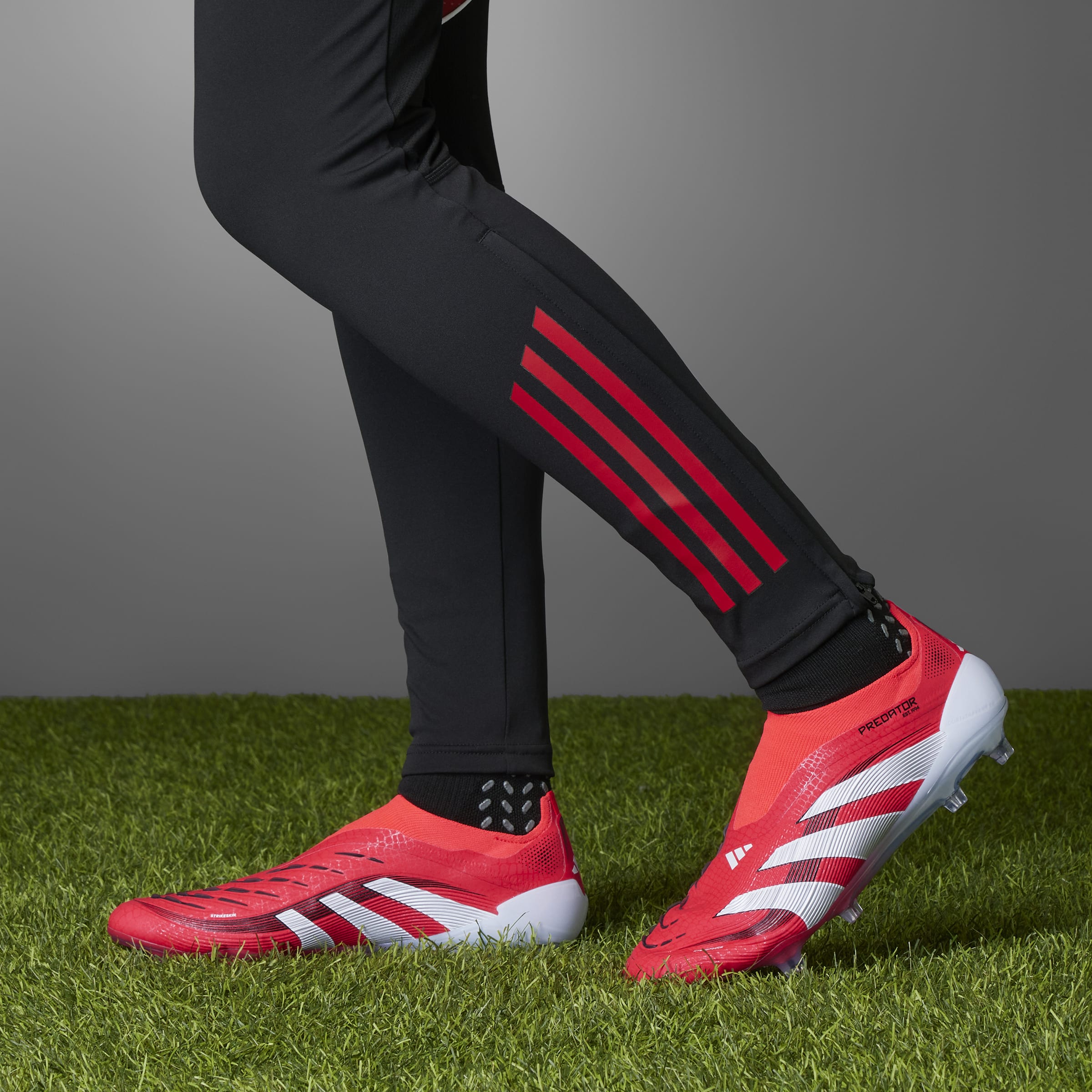 adidas Predator 25 Elite Laceless Firm Ground Cleats