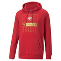 PUMA Serbia Football Core Hoodie