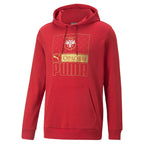 PUMA Serbia Football Core Hoodie