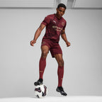 PUMA Manchester City 24/25 Third Replica Jersey