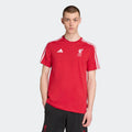adidas Liverpool FC DNA Tee